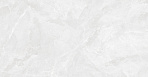 Regnum Bianco Керамогранит светло-серый CR6012G0401R 59,5х119,1 матовый_1