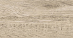 Rainwood керамогранит табачный SG517300R 19,6х119,5_7