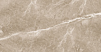 Obsidian Taupe Керамогранит 60х60 Матовый_2