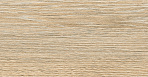 Oak Керамогранит янтарный OK 0054 15х60_1