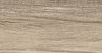 Rainwood керамогранит табачный SG517300R 19,6х119,5_5