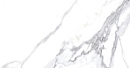 Calacatta Splendid Silver Керамогранит белый 60х60 Полированный_5