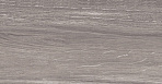 Rainwood керамогранит графитовый SG516700R8 20х119,5_3
