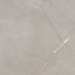 Витрум Гриджио Керамогранит серый 60х60 матовый