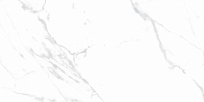 Статуарио Джастис Грей Керамогранит белый 60х120 матовый